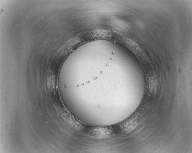 X0000060800326200511141446