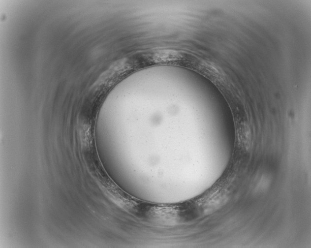 X0000060800327200511141446