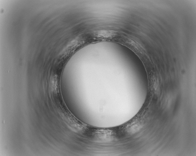 X0000060800328200511141446