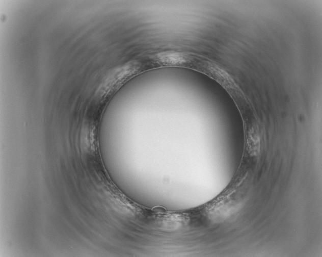 X0000060800330200511141446