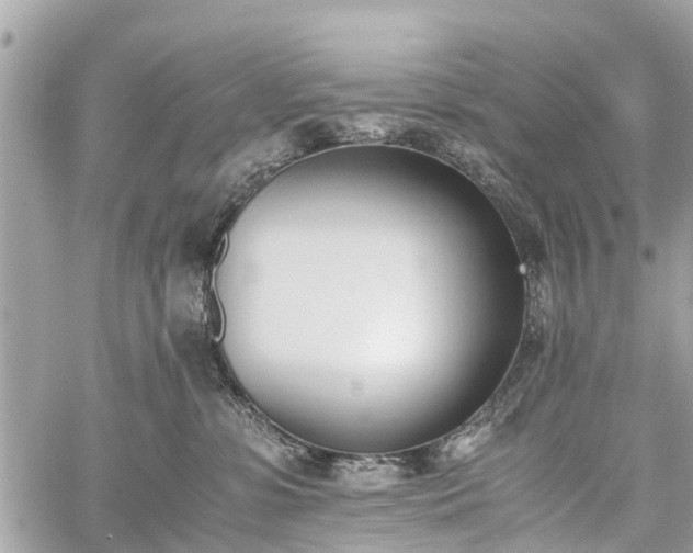 X0000060800331200511141446