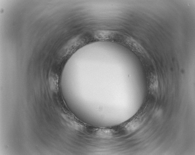 X0000060800332200511141446