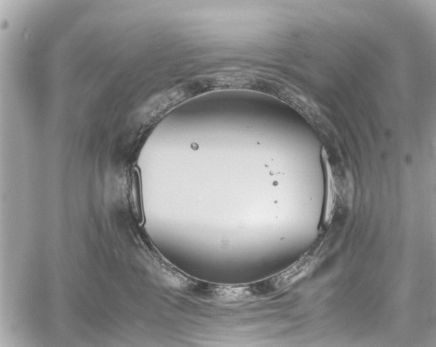 X0000060800333200511141446