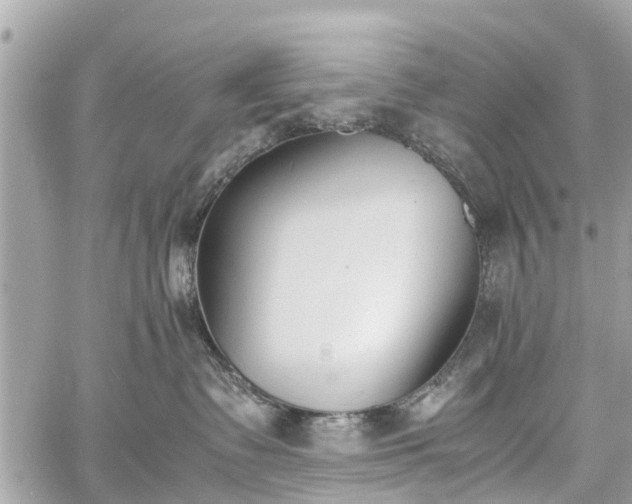 X0000060800335200511141446