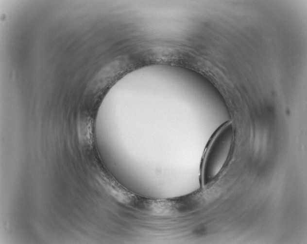 X0000060800336200511141446