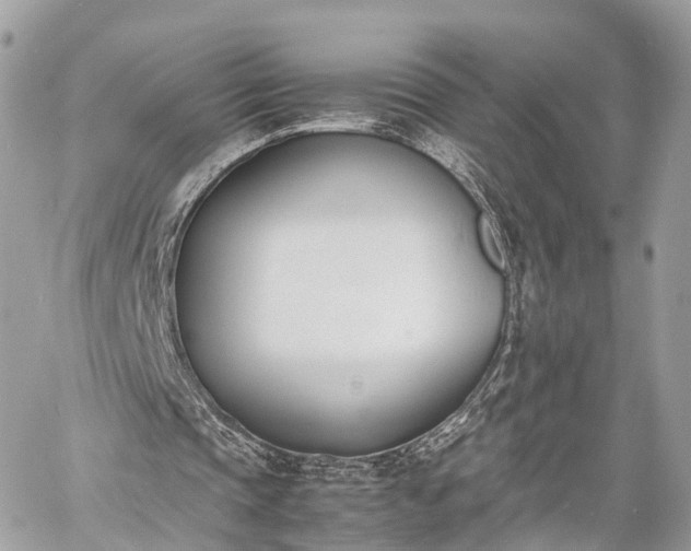 X0000060800337200511141445