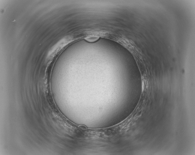 X0000060800339200511141446