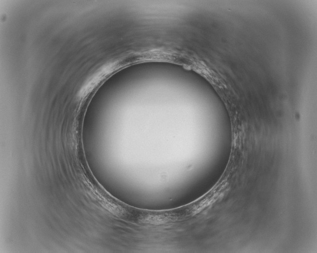 X0000060800341200511141446