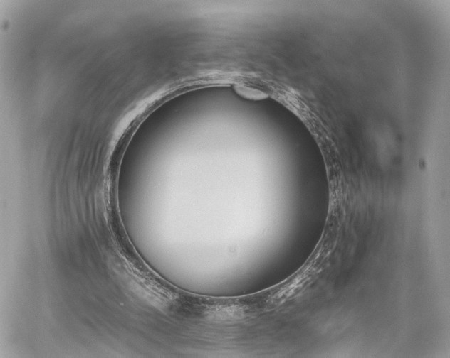 X0000060800342200511141446