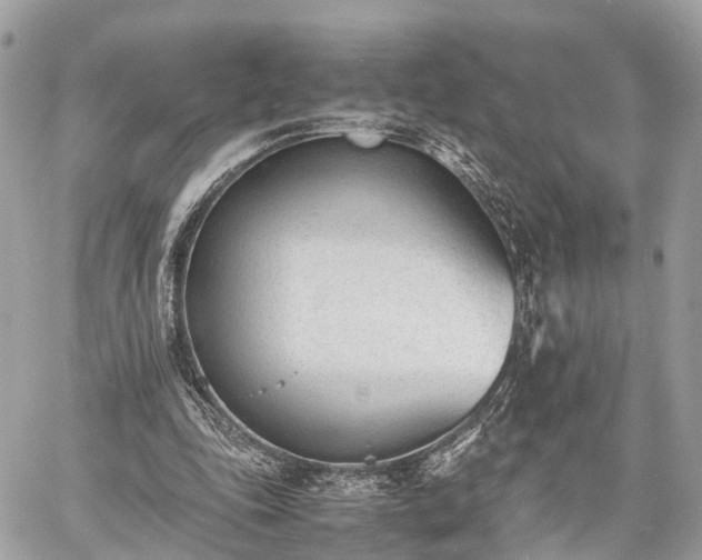 X0000060800343200511141446