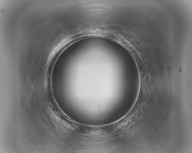 X0000060800344200511141446