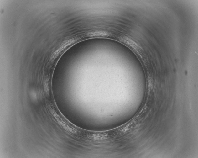 X0000060800345200511141446