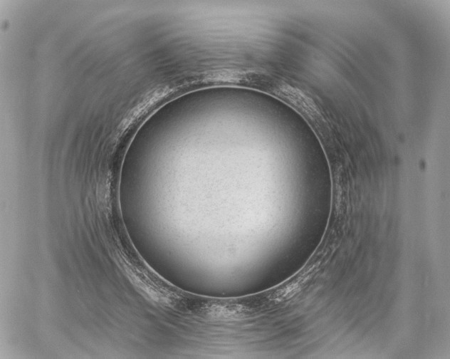 X0000060800346200511141446