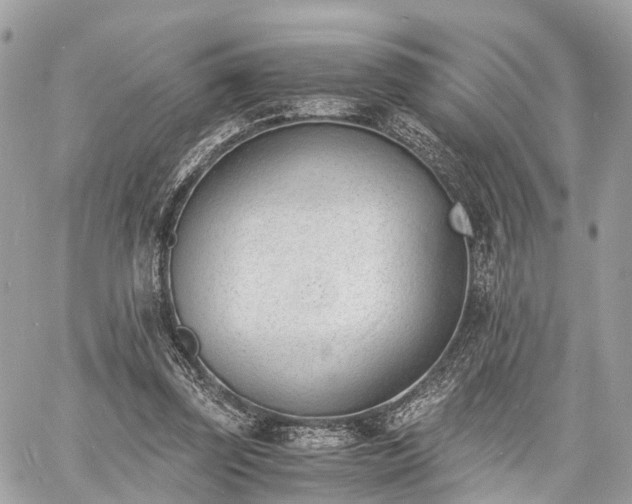 X0000060800347200511141446