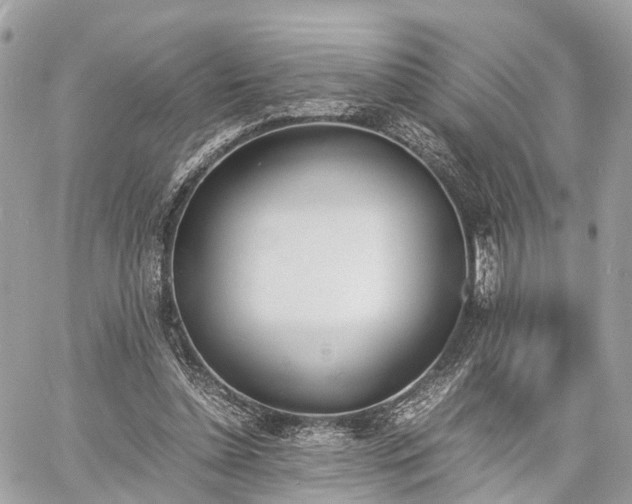 X0000060800348200511141446