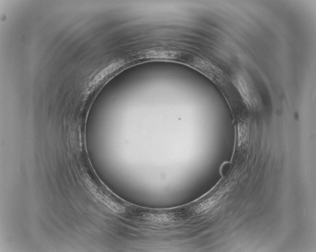 X0000060800349200511141446