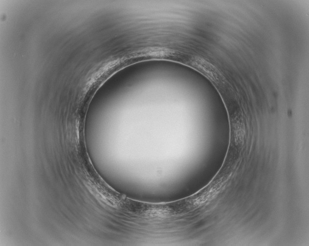 X0000060800350200511141446