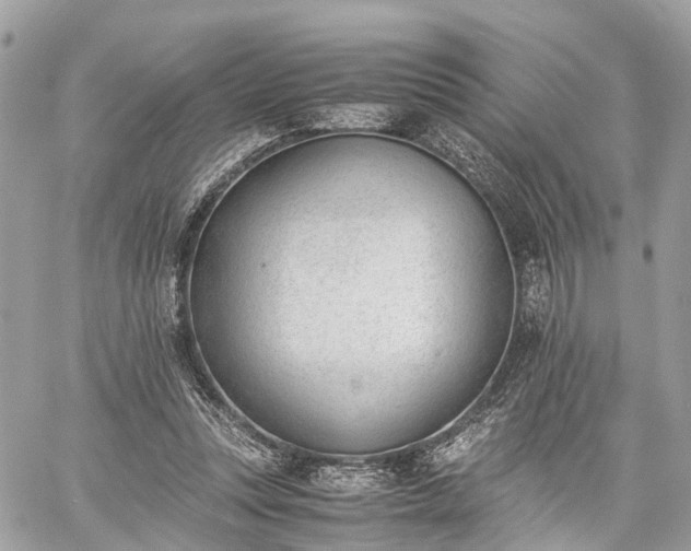 X0000060800351200511141446