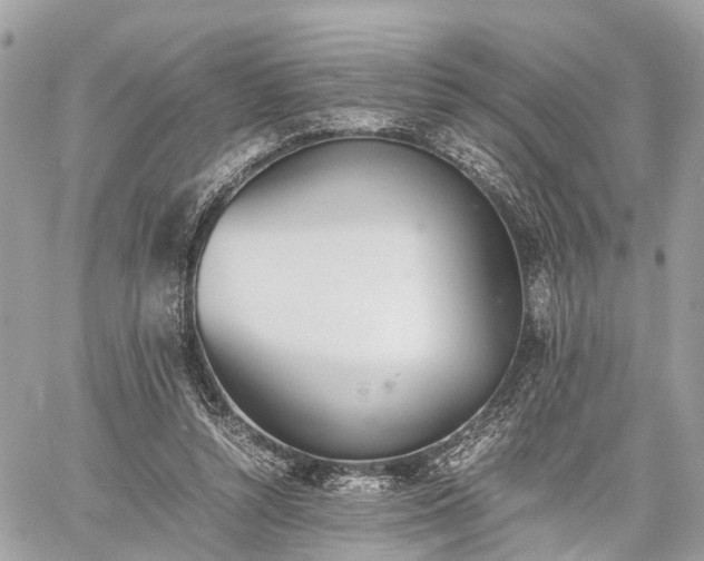 X0000060800352200511141446