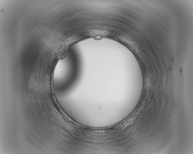 X0000060800353200511141446