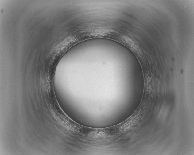 X0000060800354200511141446