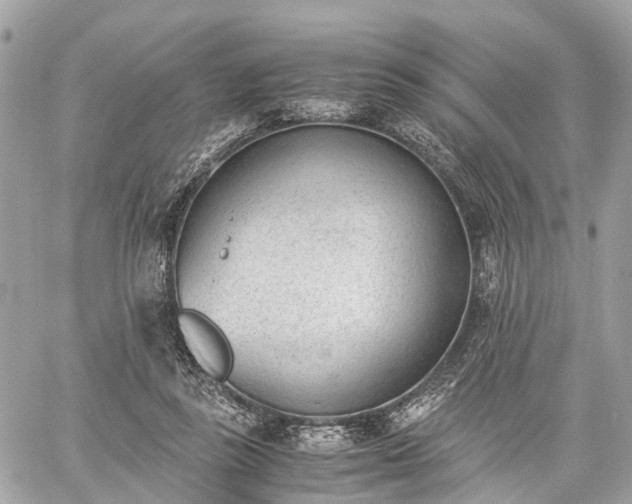 X0000060800355200511141446