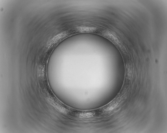 X0000060800357200511141446