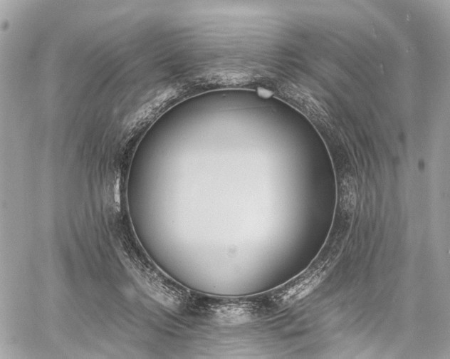 X0000060800358200511141446