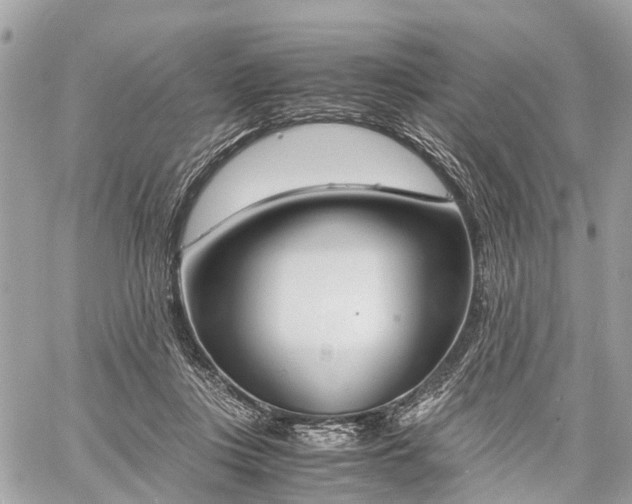 X0000060800359200511141446