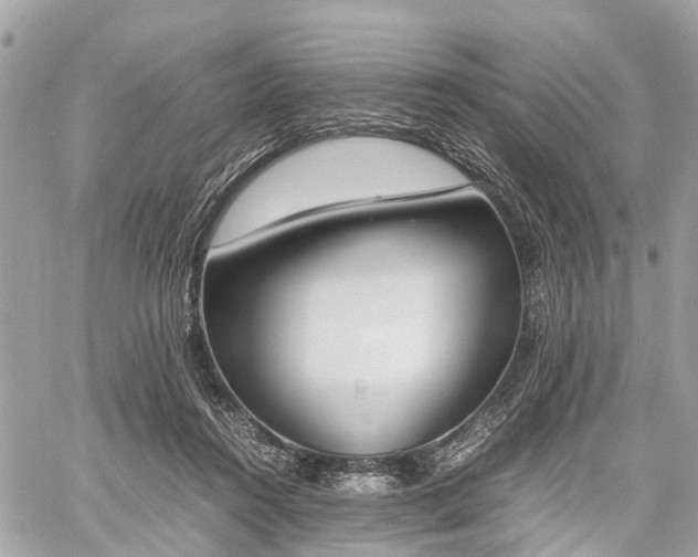 X0000060800360200511141446