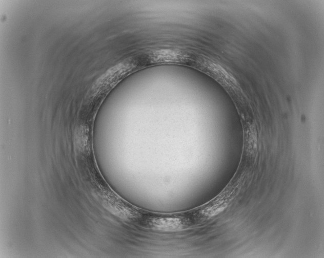 X0000060800361200511141446