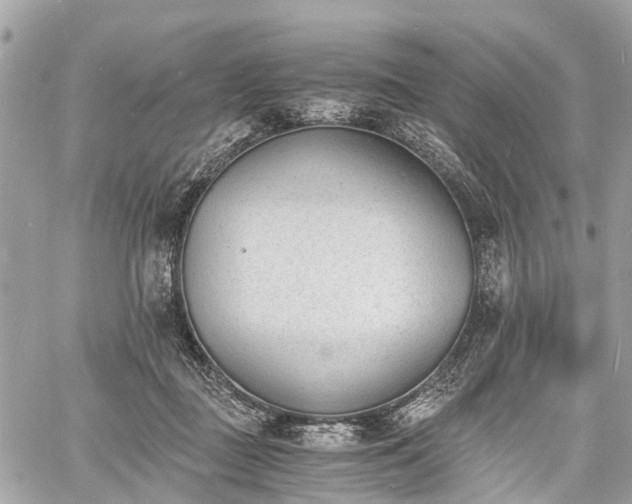 X0000060800363200511141446