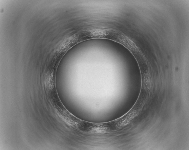 X0000060800364200511141446