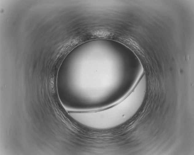 X0000060800365200511141446