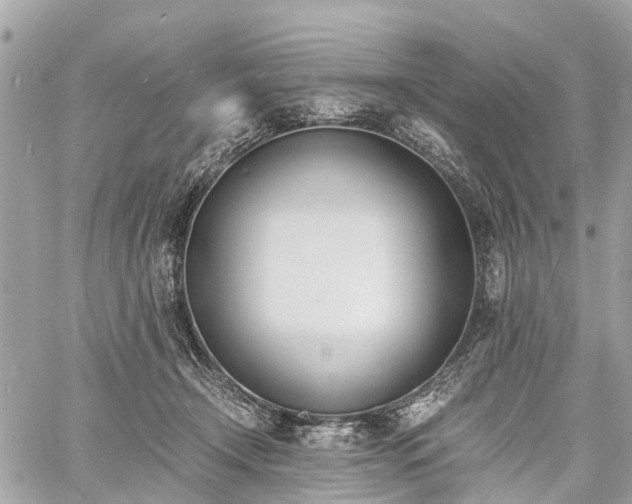 X0000060800366200511141446