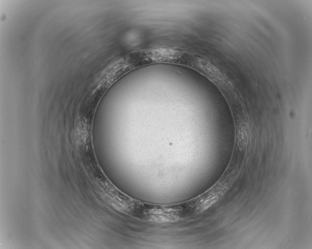 X0000060800367200511141446