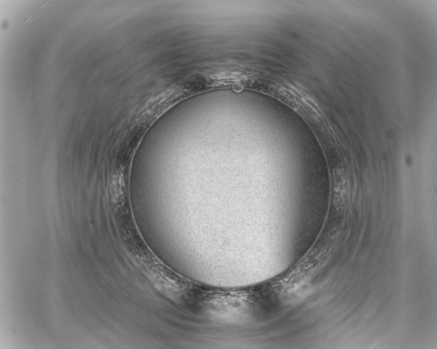 X0000060800369200511141446