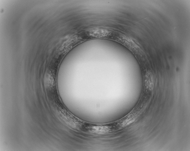 X0000060800371200511141446