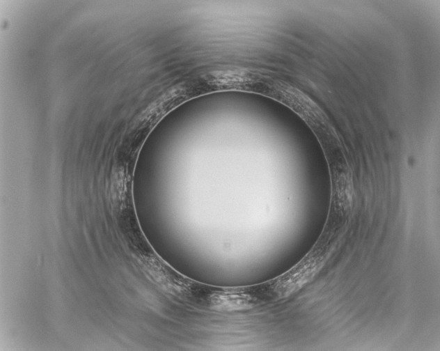 X0000060800372200511141446