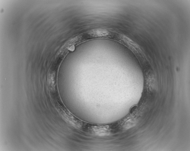 X0000060800373200511141446