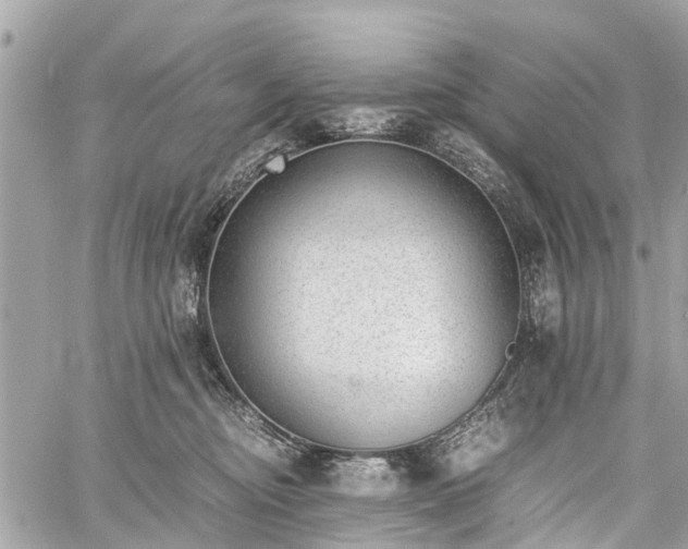 X0000060800374200511141446