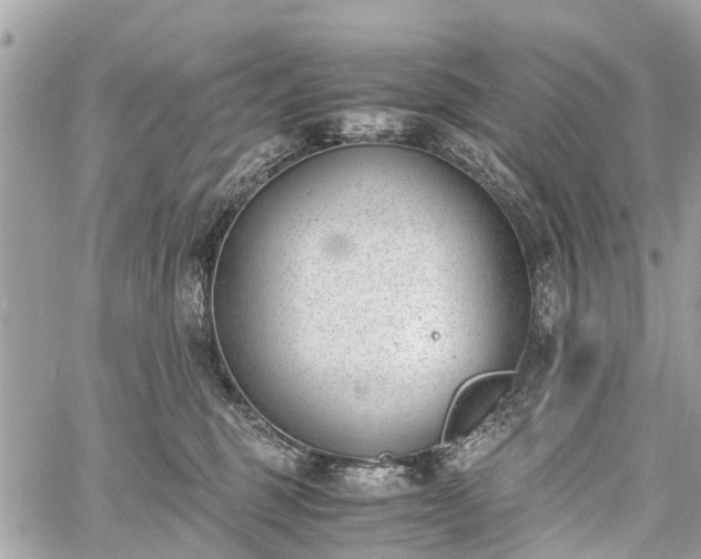 X0000060800375200511141446