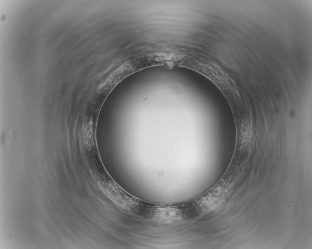 X0000060800376200511141446