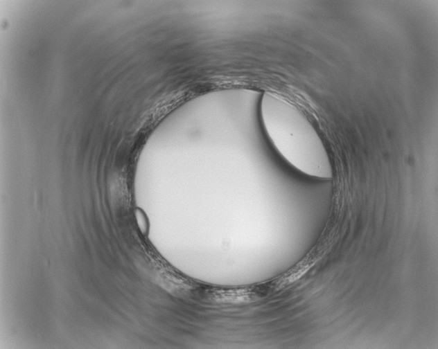 X0000060800377200511141446