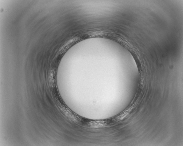 X0000060800378200511141446