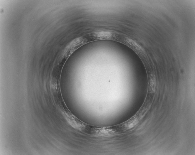 X0000060800379200511141446