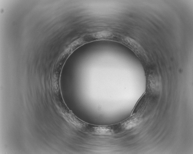 X0000060800380200511141446