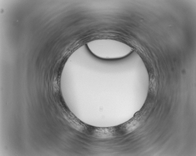 X0000060800381200511141446