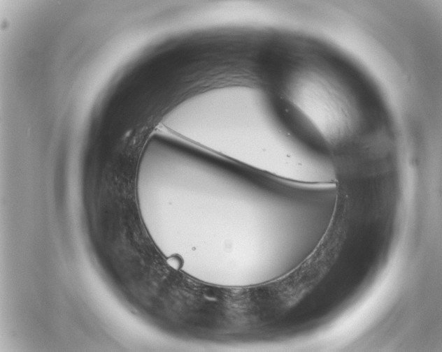 X0000060800382200511141446