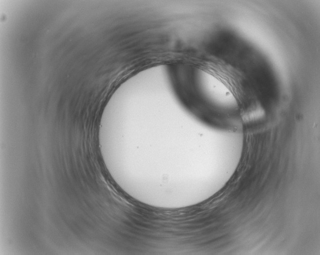 X0000060800383200511141446